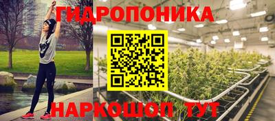 дживик Тара