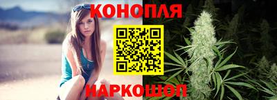индика Тула